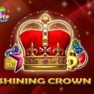Shining Crown Clover Chance